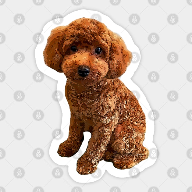 Gold poodle cheap